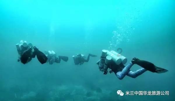 探索知识星球请问数学: 本年买一些鞋子,其中,男鞋、女鞋、童鞋三种商品的权数分别为550、200、250,价格分?,解锁无限知识宝藏